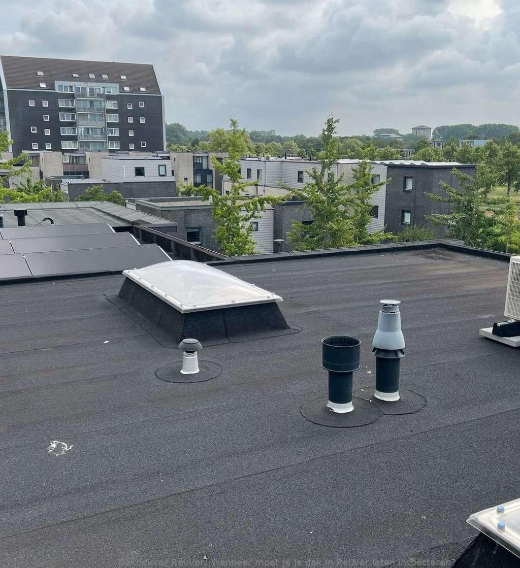 Dak Laten Inspecteren Reuver