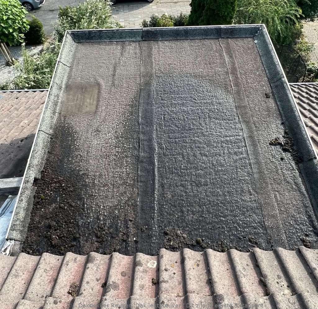 Dak Lekt Reuver