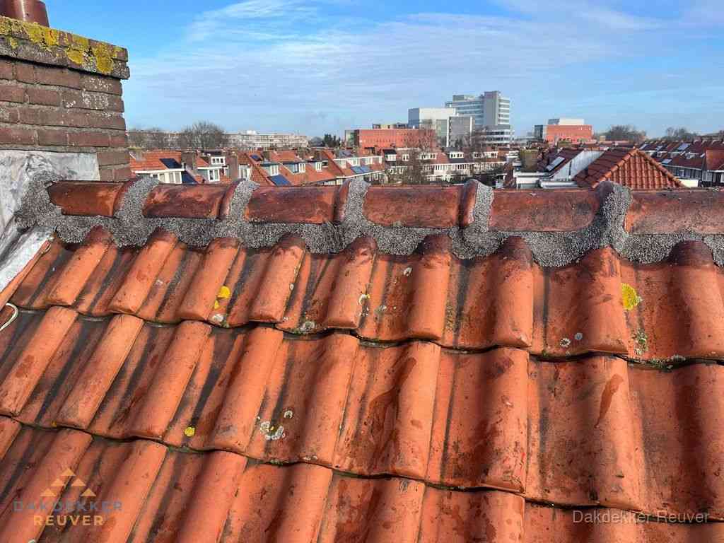 Nieuw bitumen plat dak met uitzicht over woonwijk in Reuver