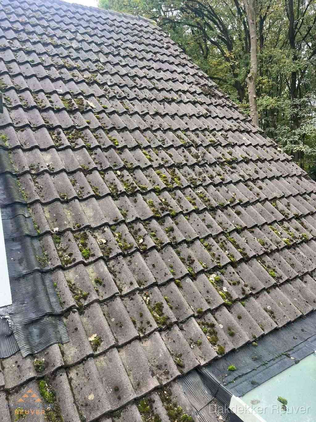 Verweerd pannendak met mosgroei dat renovatie nodig heeft in Reuver
