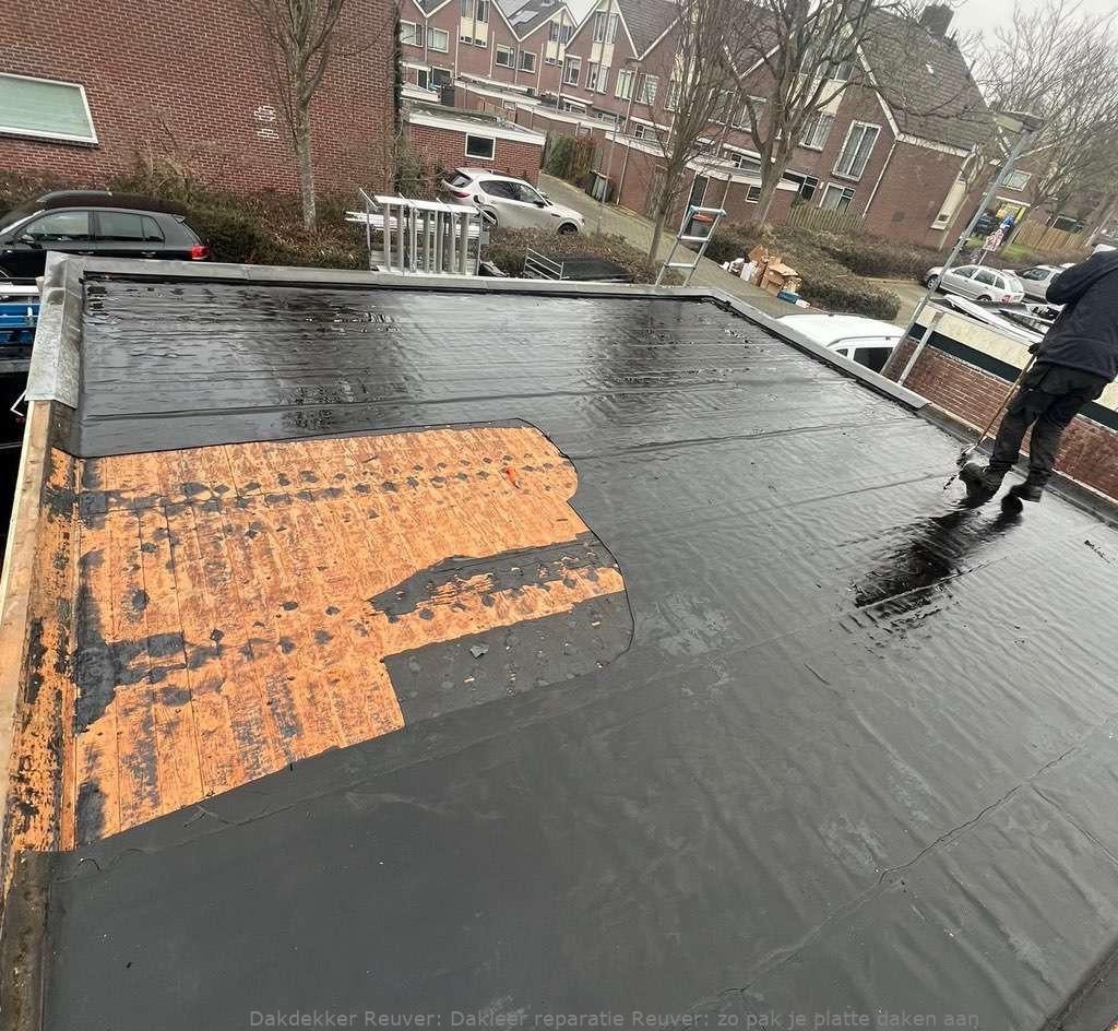 Dakleer Reparatie Reuver