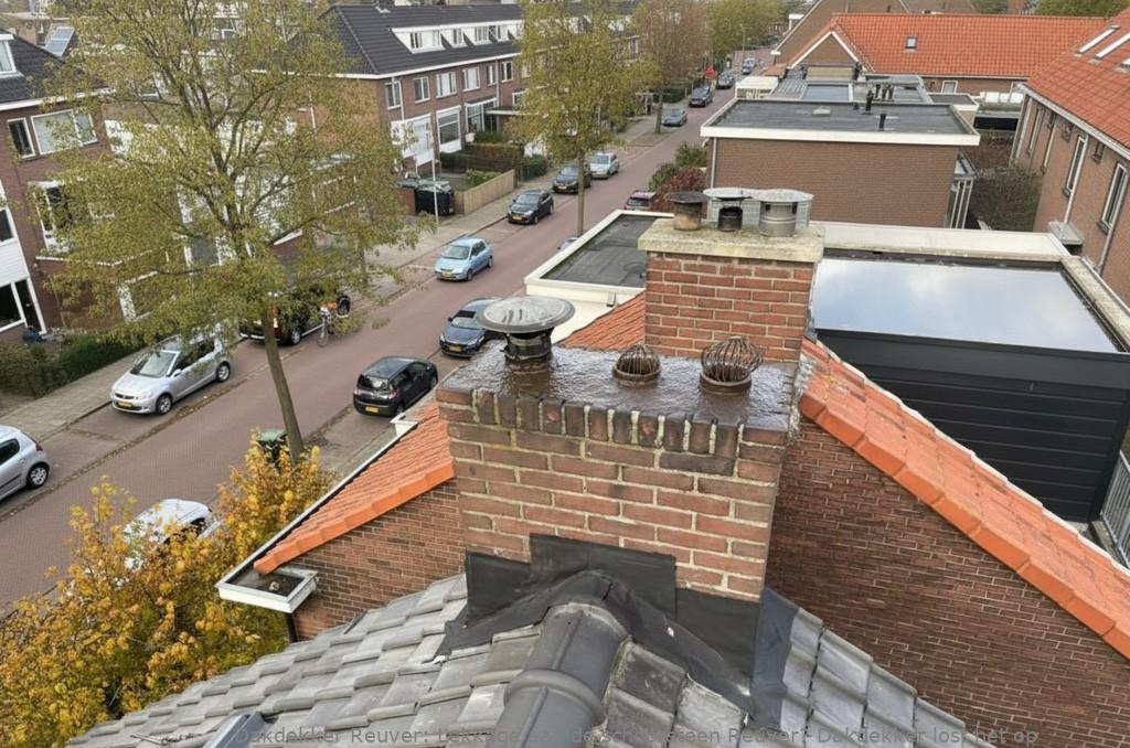 Lekkage Aan De Schoorsteen Reuver