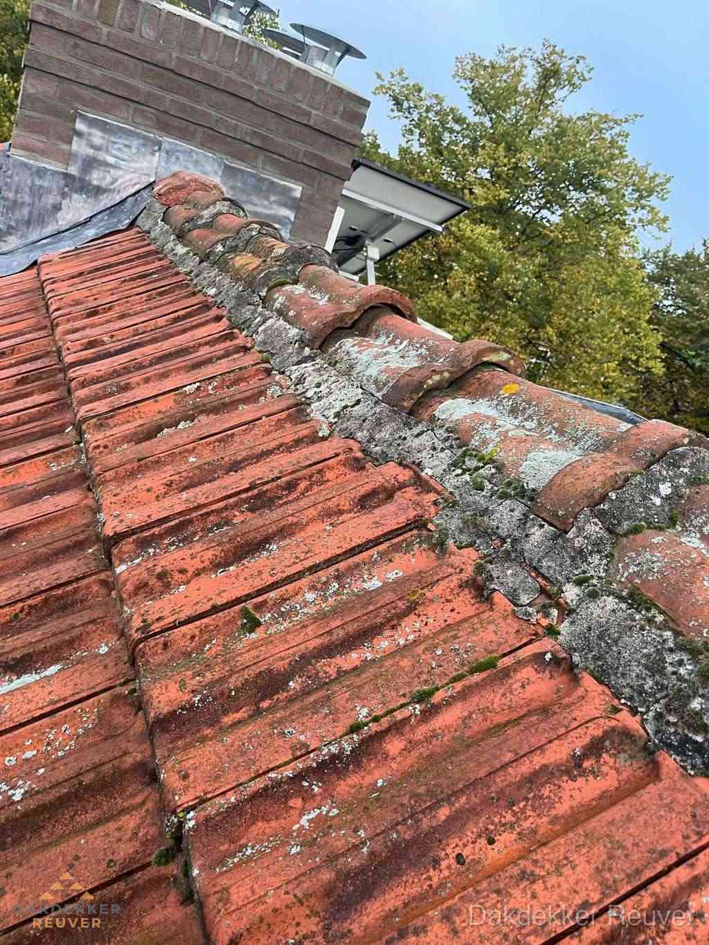 Renovatie Hellend Dak Reuver