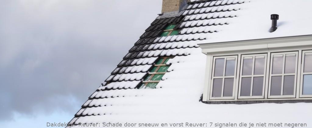 Schade Door Sneeuw En Vorst Reuver