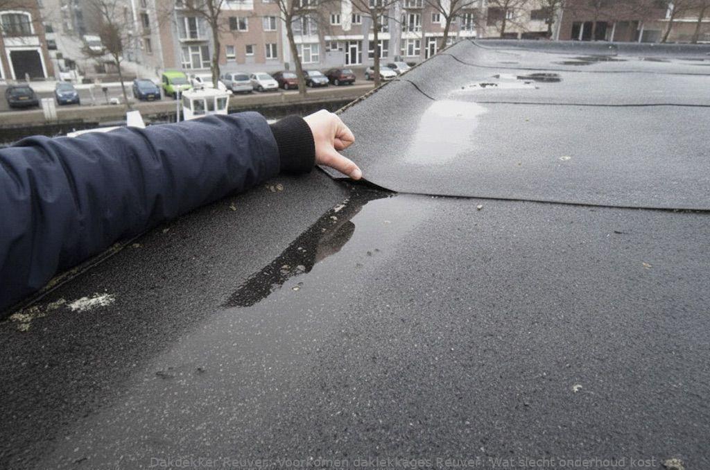 Voorkomen Daklekkages Reuver